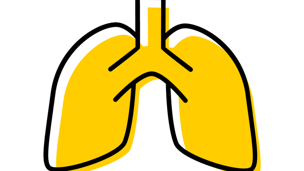 lungs
